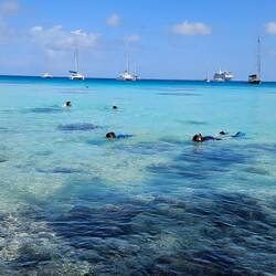 Snorkelers at work. The better snorkeling was further out.
