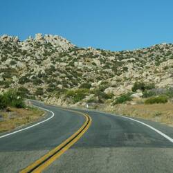 plötzlich ist es grün