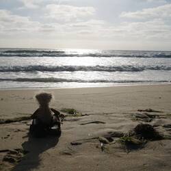 Reise schon vorbei? Schade. Aber jemand hat erzählt, dass da hinten irgendwo Hawai liegt.