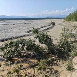 Am Tanana River