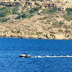 Hat was von einer Entenmama mit ihren Entchen 😅