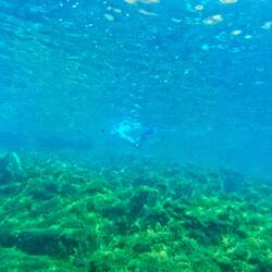 Max beim Schnorcheln am Riff 😁