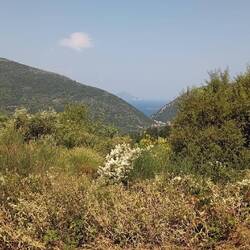 Blick zur Bucht von Frikes, wo ⛵☀️SUNSHINE auf uns wartet ...