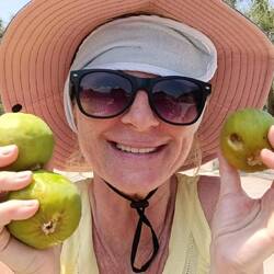 🥳 GEFUNDEN!!! 😀 Wir haben riesengroße zuckersüße Feigen gefunden ...