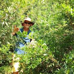 Dicht verwachsen der Weg zum Dichter😅