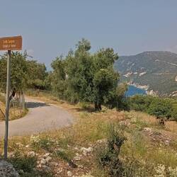 Ob es Homer gab bleibt umstritten. Unumstritten jedoch, sind diese Ausgrabungen seine Schule🤔?