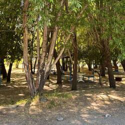 Türken lieben Picknick: überall hat grosse schattige Plätze, am Wochenende voll