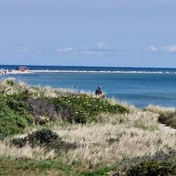 Da hinten.... am Horizont.... da müssen wir hin!