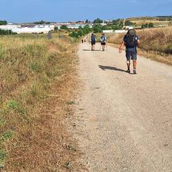 The road was a bit busier this morning!