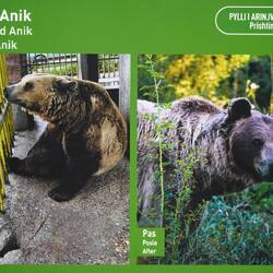 das isch über Jahre ihri Realität gsi