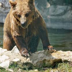 gad bim Bädelä verwütscht🤩