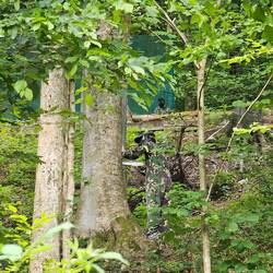 Kids spielen Paintball im Wald
