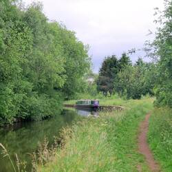 Surrounded by greenery 😊
