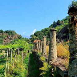 Als je al die zuiltjes ziet besef je hoeveel wijnbouw hier al verloren ging.