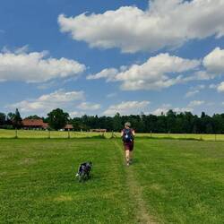 Der Wanderweg über die Wiesen ist gut erkennbar.