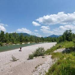 Heute hat Frodo mehrfach ein Bad in der Isar genommen!