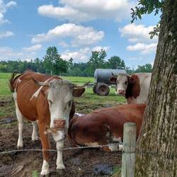 Eure Wassertonne ist langweilig!