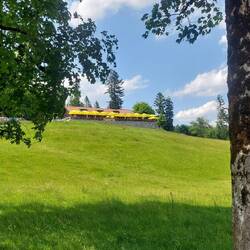 Das heutigen Ziel, die Waldherralm....