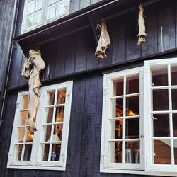 Dried/fermented fish and sheep strips..yum!