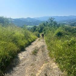 Starting the big descent
