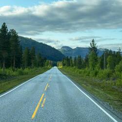 Faszinierende Wälder und Straßen zu den Fjorden