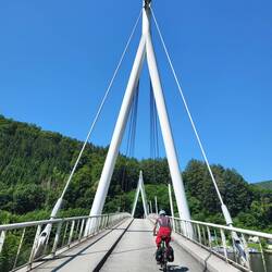 Neckarbrücke bei Zwingenberg