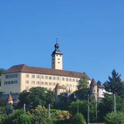 Das Schloss von Gundelsheim.