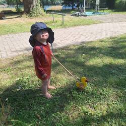 Diese Holzente gibt es tatsächlich immer noch, sooo süß