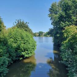Erster Blick auf den Aarsee