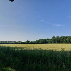 Auf dem Rückweg. Tolle Landschaft