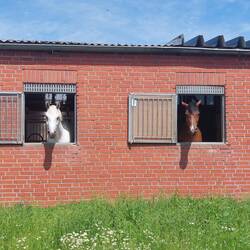 Die zwei haben genau geschaut, was wir machen 🤣