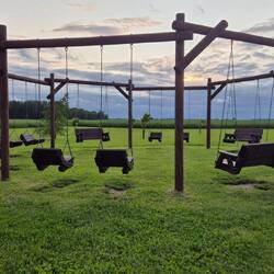 Eine Menge an unterschiedlichen Schaukeln lässt sogar Erwachsene staunen.