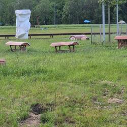 Außerdem leben dort einige Hauskaninchen. Die Betreuung erfolgt von Kindern aus dem Dorf.