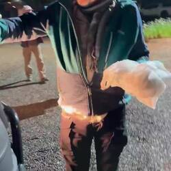 Des einen "Leid" ist des Busfahrers Freud!