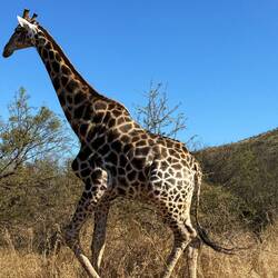 Security am Eingang.