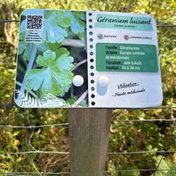 Viele Info Schilder am Wegesrand zur Vegetation
