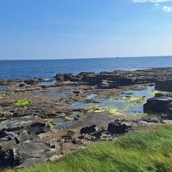 Rock pools to explore next time