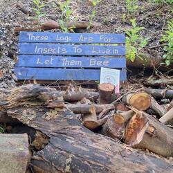 Ireland is very big on protecting bees and bugs