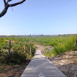 Nochmal kurz den Schatten genießen - da hinten in der Steppe wartet Cuby auf mich 🥺