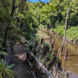 Mitten im Wald ein Stausee