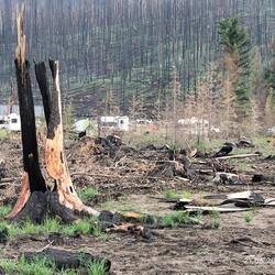 ... das wird noch lange dauern...