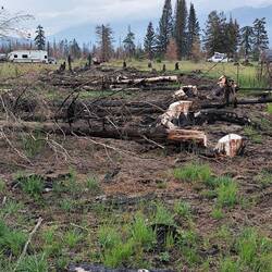 ... verbrannte Erde auf dem Campground ...
