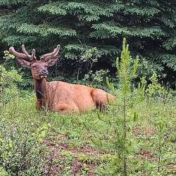 ... und ein zweiter gleich daneben✌️