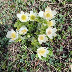 Dann machen wir uns auf den Weg...