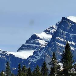 ... Micha kann gar nicht aufhören...