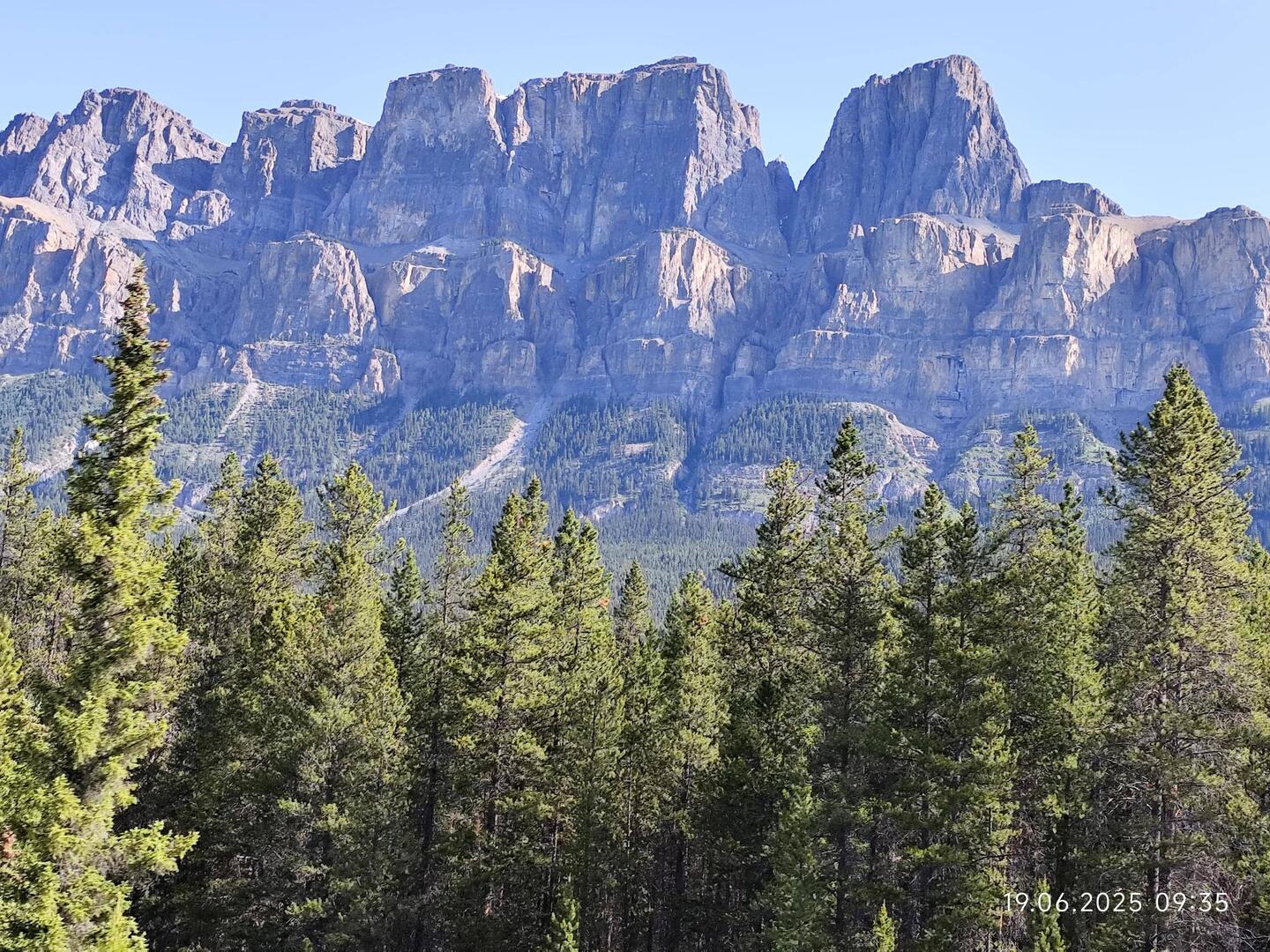 Der wurde aus gutem Grund ...