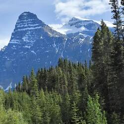 ... immer wieder ...