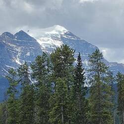 Weiße Spitzen in der Ferne