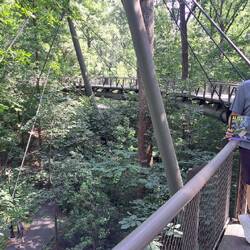 Eine Brücke verbindet zwei Teile des Botanischen Gartens.