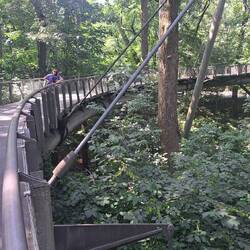 Eine Brücke verbindet zwei Teile des Botanischen Gartens.